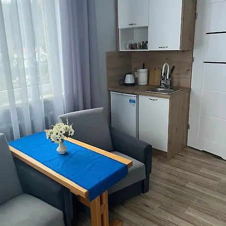 Apartment Goscinne *